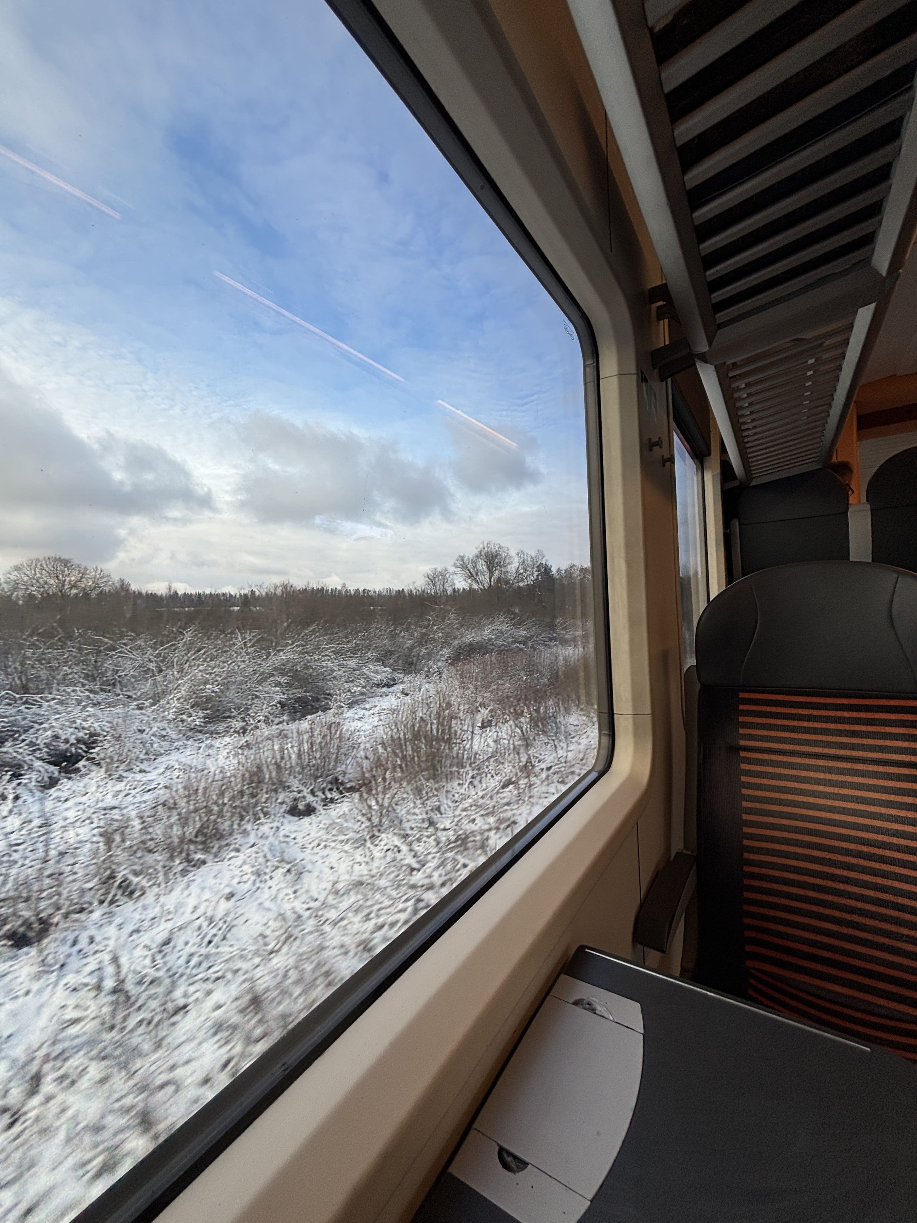 Snowy landscape seen through large train window.