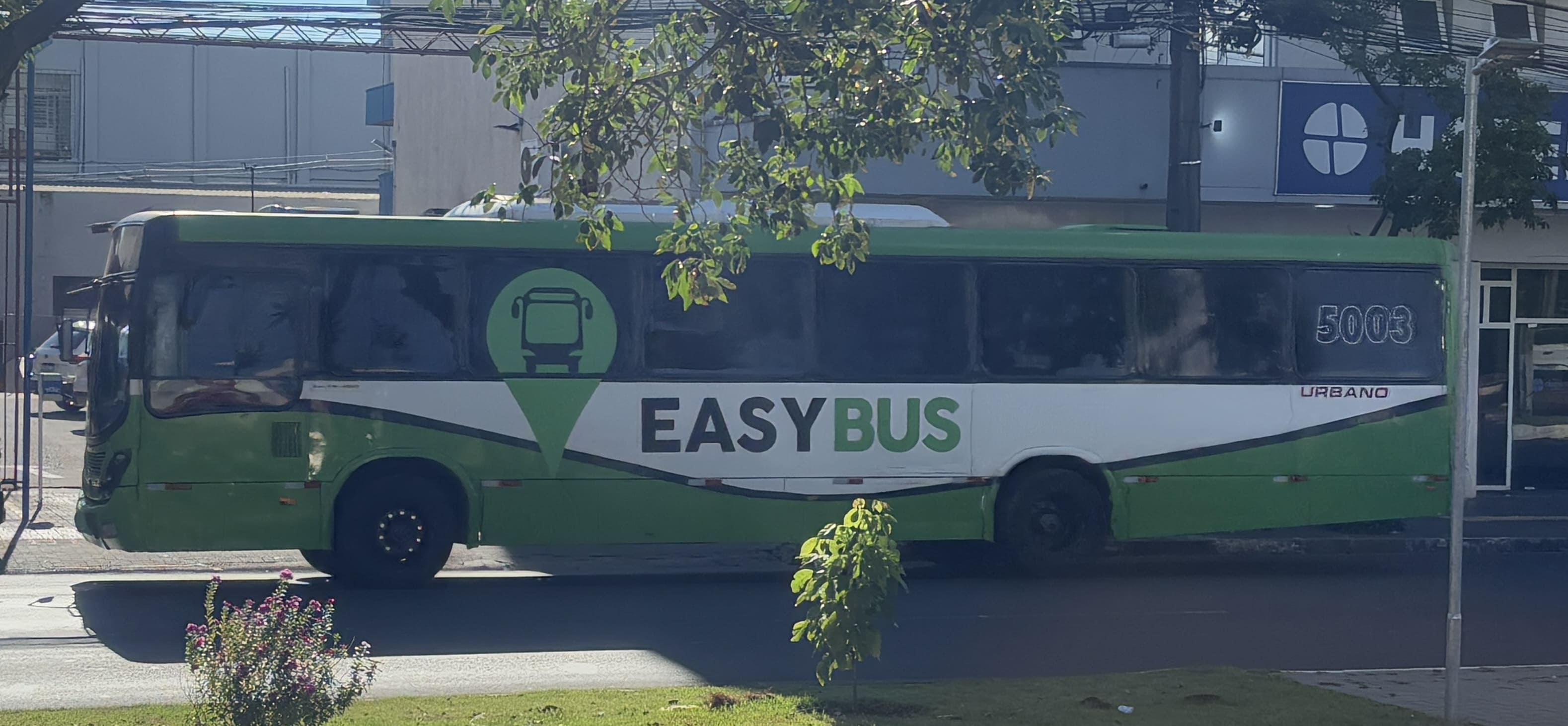 Green and white EasyBus.