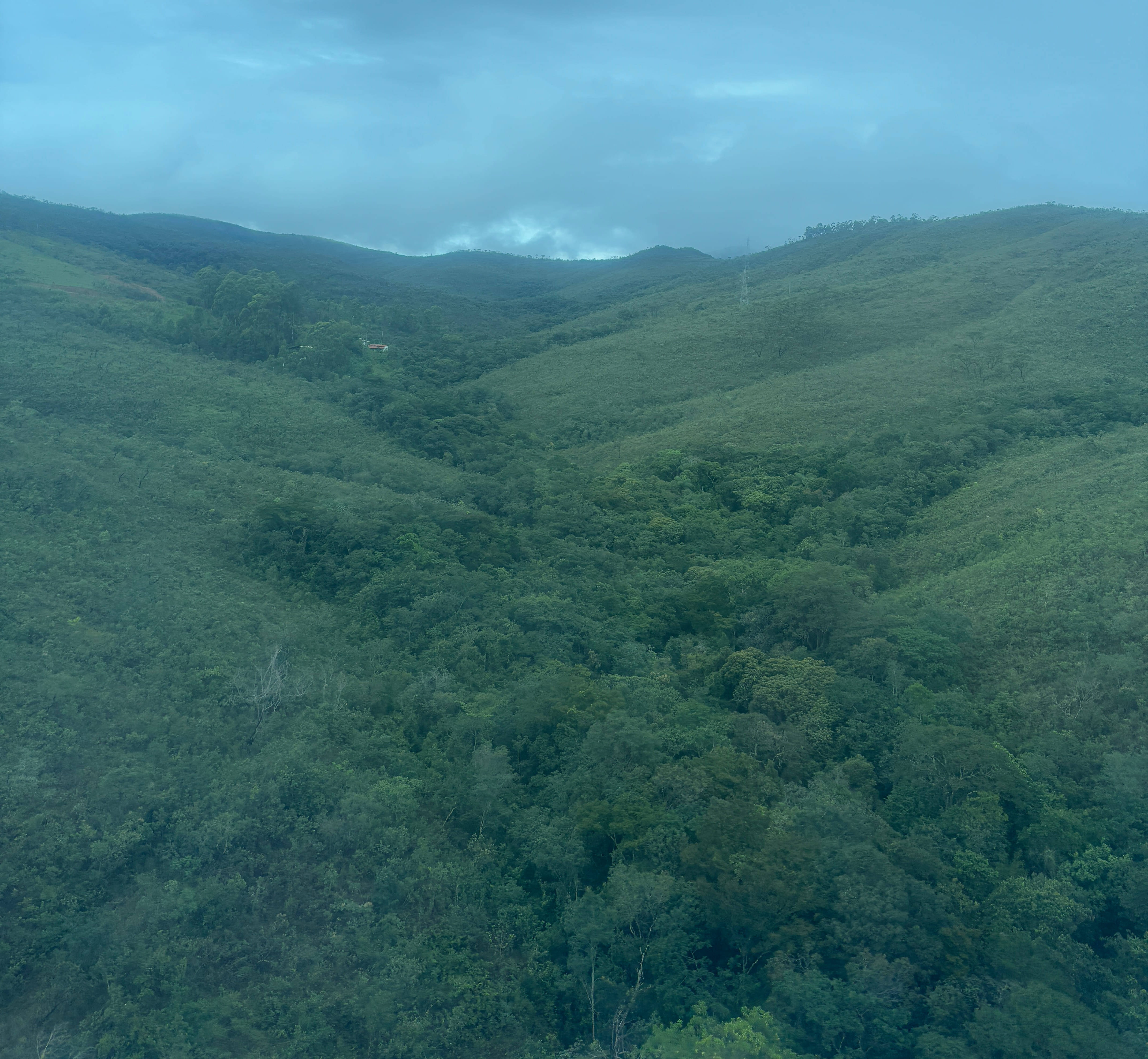 Dense tree cover atop hills in Minas Gerais.